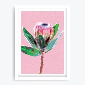 Protea Pink Art Print