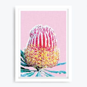 Banksia Pink Art Print