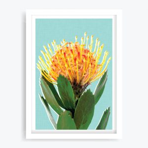 Pincushion Protea Art Print