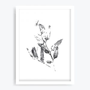 Eucalyptus Leaves #2 Art Print