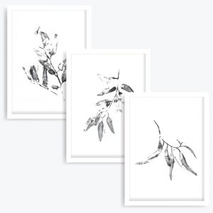 Gum Leaves Art Prints (set of 3)